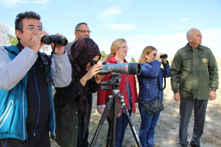 Yedikuğular Kuş Cenneti’ne Kamera Sistemi Kuruluyor