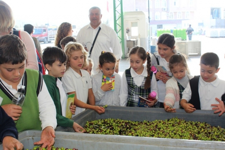 Öğrencilere Sabah Kahvaltısının Önemini Anlattılar