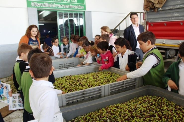 Öğrencilere Sabah Kahvaltısının Önemini Anlattılar