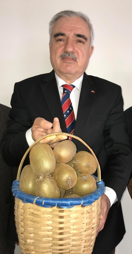 Ordu Kivisinin Fiyatı 2,40 Tl