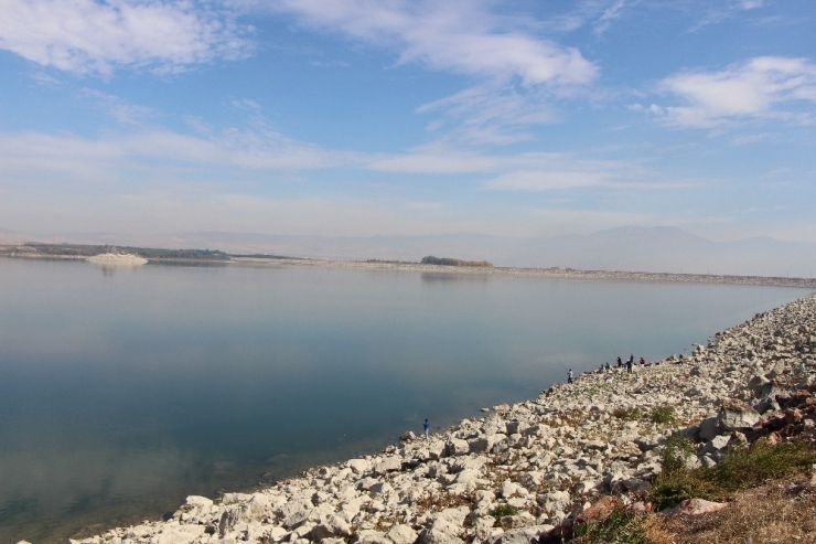 Yedikuğular Kuş Cenneti’ne Kamera Sistemi Kuruluyor