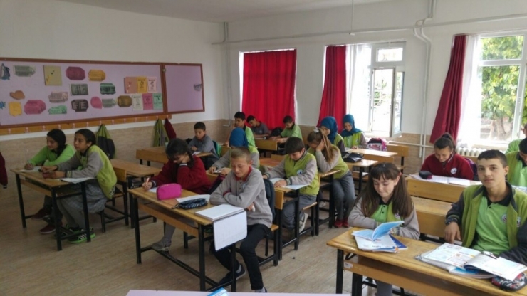 Destekleme Ve Yetiştirme Kurslarına İlgi