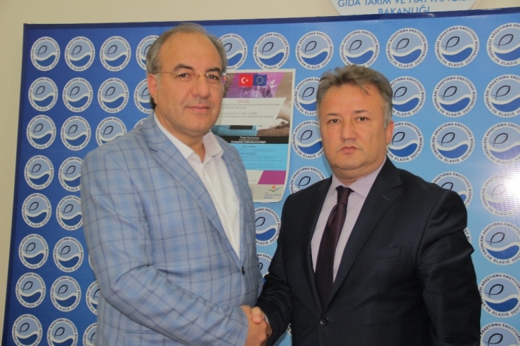 Elazığ’da ’İklim Değişikliğine Adaptasyon Kapasite Oluşturma’ Projesi