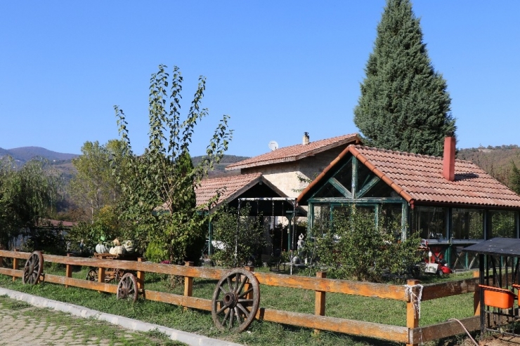 23 Yıllık Biyoloji Öğretmeni, Hayalini Kurduğu Çiftlikte Kendi Markasını Üretti