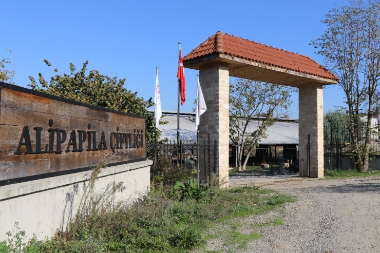 23 Yıllık Biyoloji Öğretmeni, Hayalini Kurduğu Çiftlikte Kendi Markasını Üretti