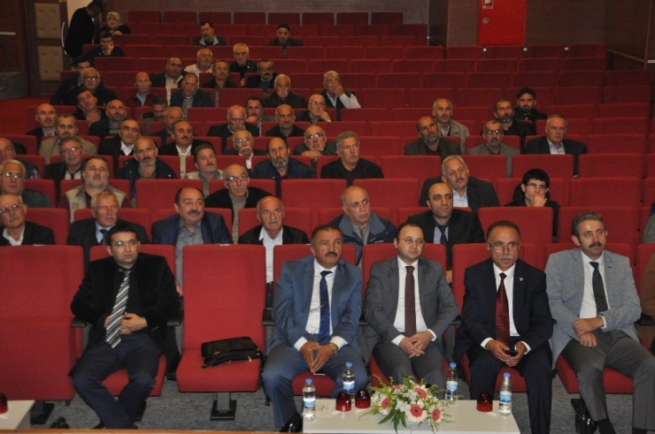 Prof. Dr. Sevgi Kolaylı : "Dünyada Tıbbi Değeri En Yüksek Ballar Türkiye’de"