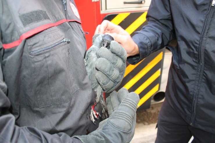 7’inci Katta Karga Kurtarma Operasyonu