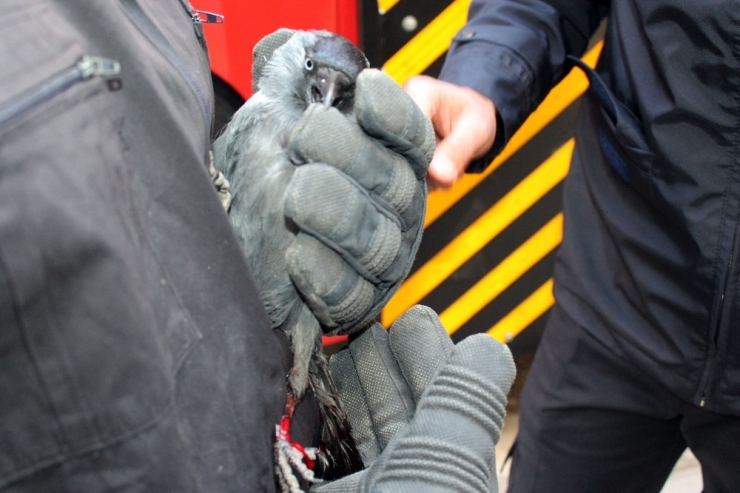 7’inci Katta Karga Kurtarma Operasyonu