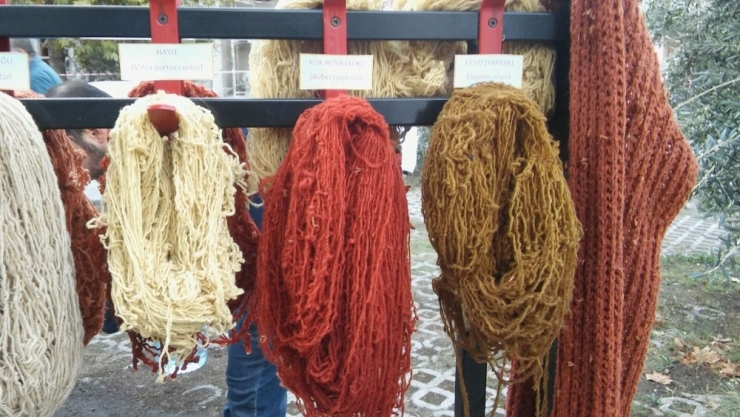 Üniversite Kansere Savaş Açtı