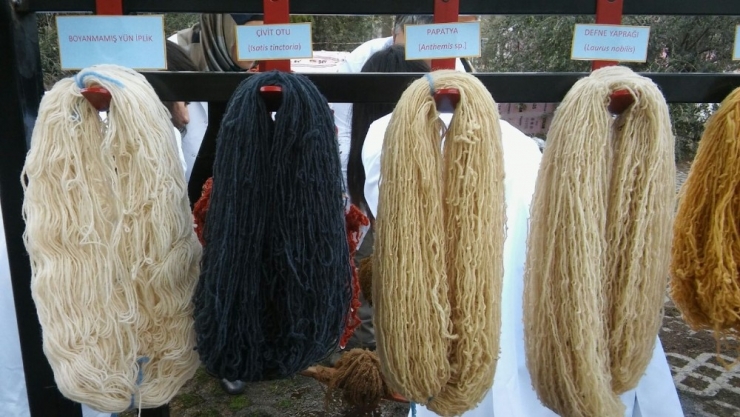 Üniversite Kansere Savaş Açtı