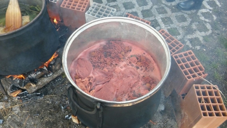 Üniversite Kansere Savaş Açtı