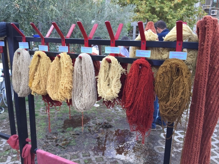 Üniversite Kansere Savaş Açtı