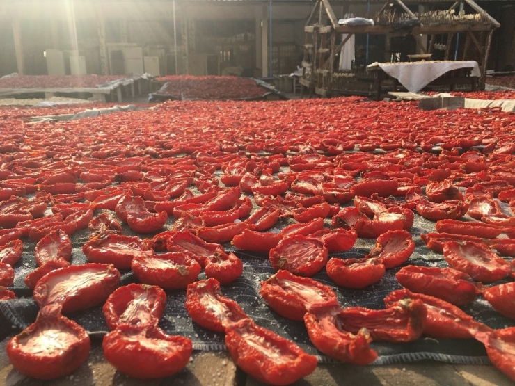 Hamarat Ellerden Aile Bütçelerine Katkı