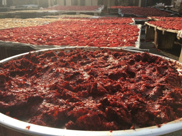 Hamarat Ellerden Aile Bütçelerine Katkı