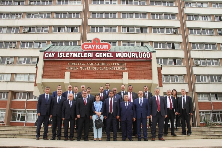 Çaykur’un 2015 Yılı Hesapları İncelendi