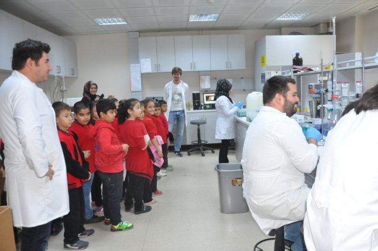 Düzce Işık İlkokulu Öğrencilerinden Düzce Üniversitesi’ne Ziyaret