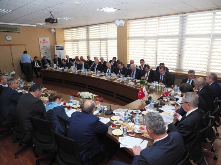 Çaykur’un 2015 Yılı Hesapları İncelendi