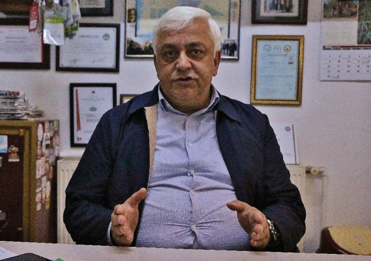 ‘Zeytin Gençleştirme Budaması Desteği’nde Önemli Uyarı!