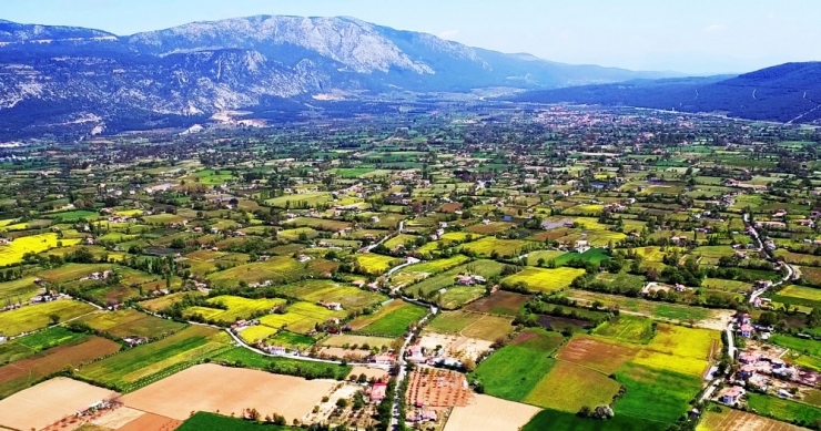 Yaylanın Endemik Bitkileri İçin ‘Coğrafi İşaret’ Hazırlığı