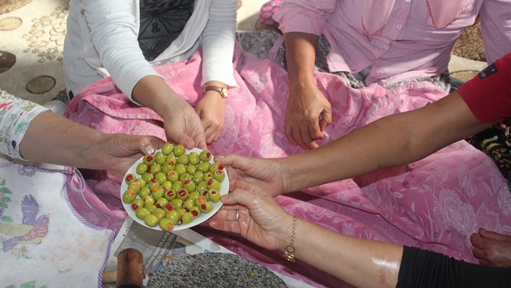 Osmaniye’de Kadınlara Zeytin İşleme Kursu