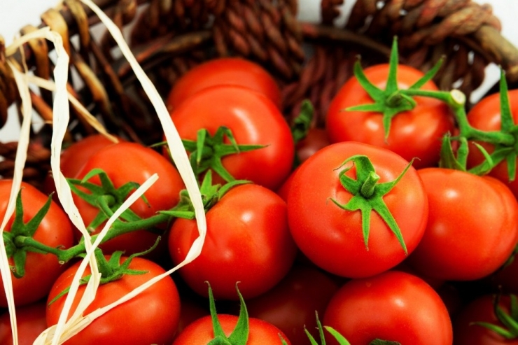 Rusya’ya İhracatta Liste Krizini Aşmak İçin Başbakan Yıldırım’dan Destek İstediler