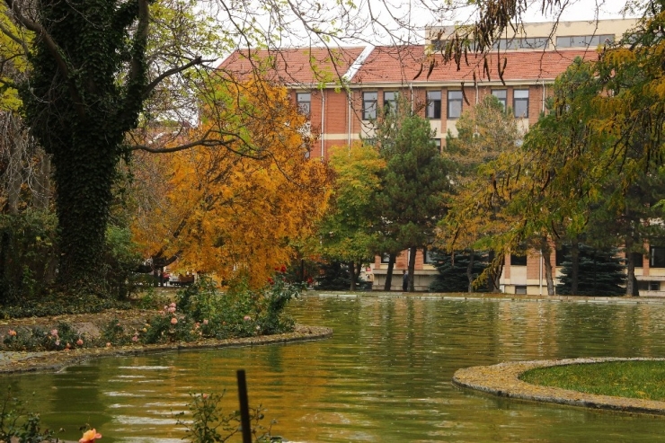 Dünyanın Dört Bir Yanından Bitkiler ‘Anadolu Arboretum’da Buluştu