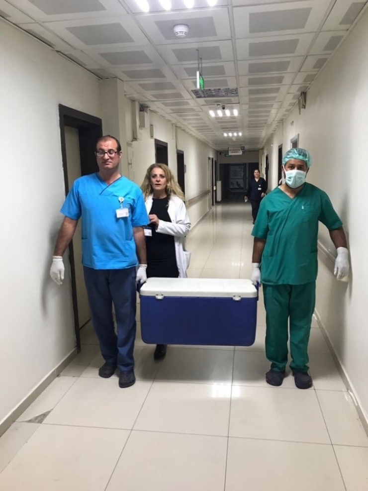 Organları Üç Hastaya Umut Oldu