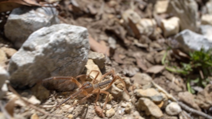 Türkiye’nin Kalbinde Bir Harikalar Diyarı