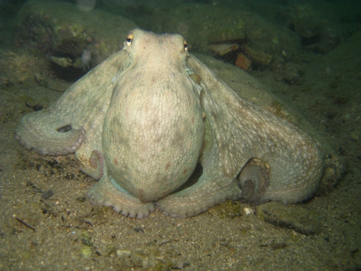 Türkiye’nin Kalbinde Bir Harikalar Diyarı