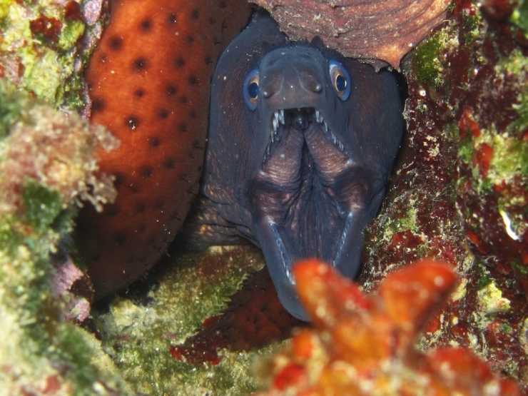 Türkiye’nin Kalbinde Bir Harikalar Diyarı