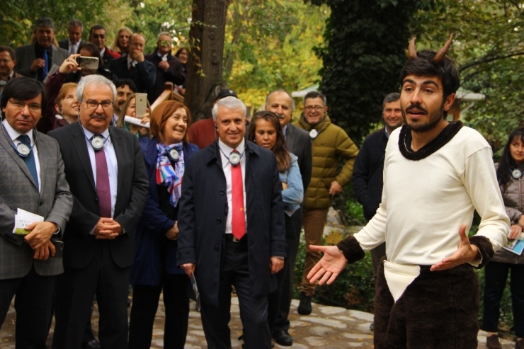 Dünyanın Dört Bir Yanından Bitkiler ‘Anadolu Arboretum’da Buluştu