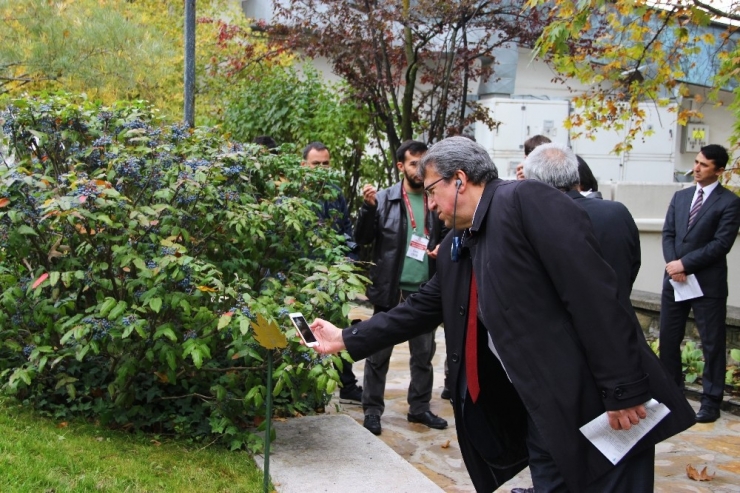 Dünyanın Dört Bir Yanından Bitkiler ‘Anadolu Arboretum’da Buluştu