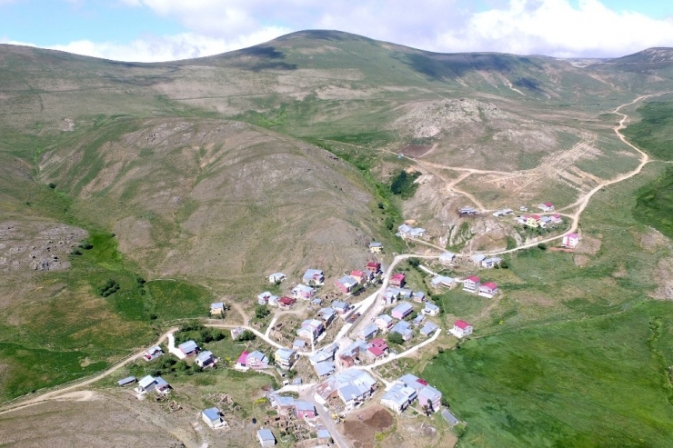 Ağaçsız Köyün Ağaç Sevdası