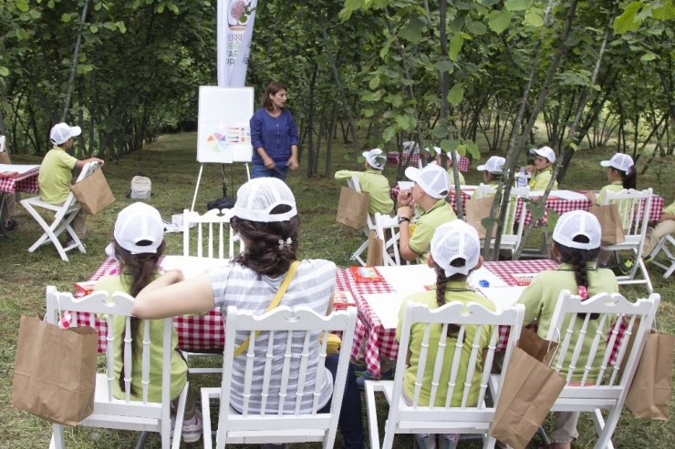 Kız Öğrenciler Fındığa Daha İlgili
