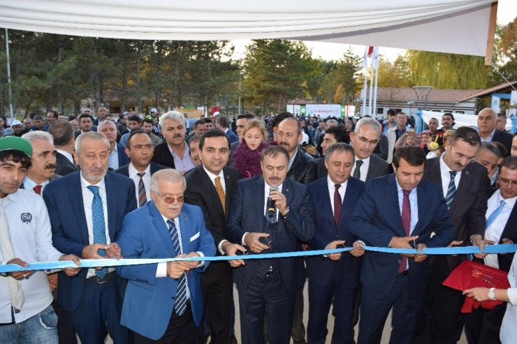 Bakan Eroğlu, Güzler Evcil Hayvan Parkı Açılışına Katıldı Ve 5 Projenin Temelini Attı