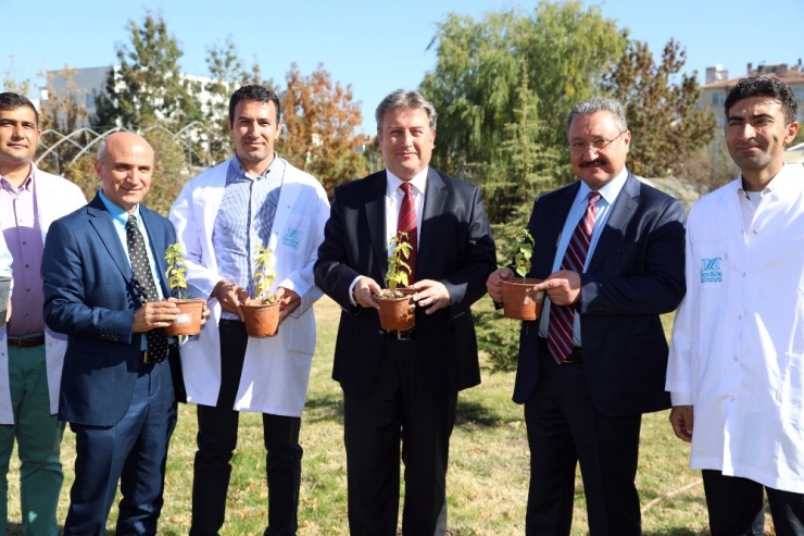 Talas Belediyesi İle Erciyes Üniversitesi “Talas’ın Karadut”unu Yaşatacak