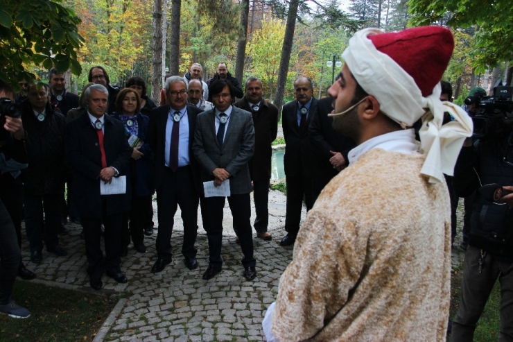 Dünyanın Dört Bir Yanından Bitkiler ‘Anadolu Arboretum’da Buluştu