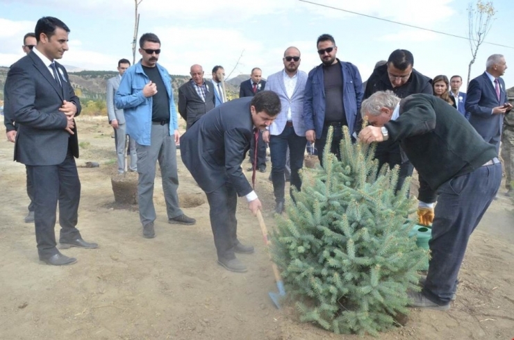 Erzincan’da Denetimli Serbestlik Yükümlüleri 260 Fidan Dikti