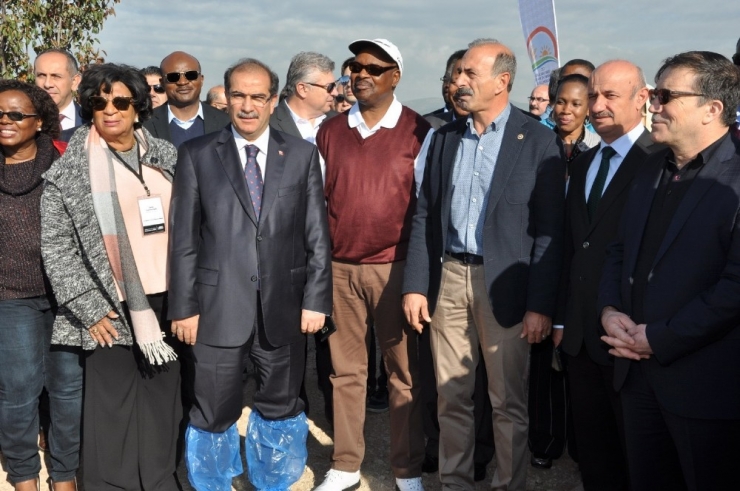 Afrika Kıtası Büyükelçileri Uşak’ta Diktikleri Ağaçlara İsimlerini Verdi