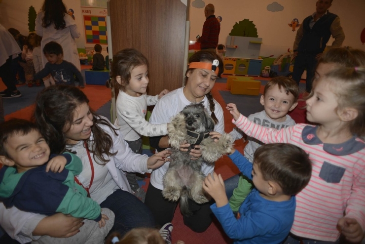 Sen De Bir Pati Sev Projesi 5 Bin Öğrenciye Ulaştı