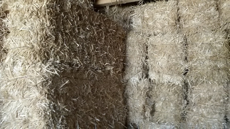 Saman Fiyatları Tavan Yaptı