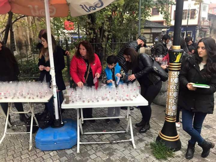 Orman Yangınlara Dikkat Çekmek İçin 10 Bin Adet Meşe Palamudu Dağıttılar