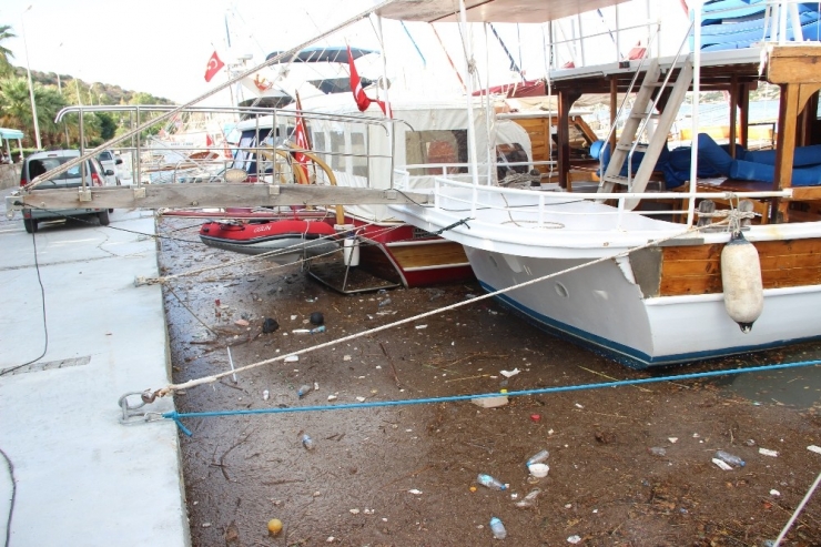 Balık Ağlarıyla Denizden Çöp Topladılar