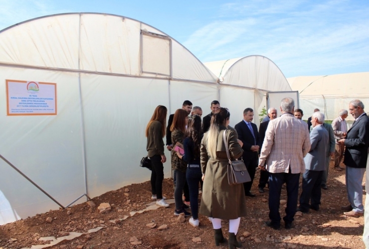 Genç Çiftçi Projesinde Serada Üretime Başlandı