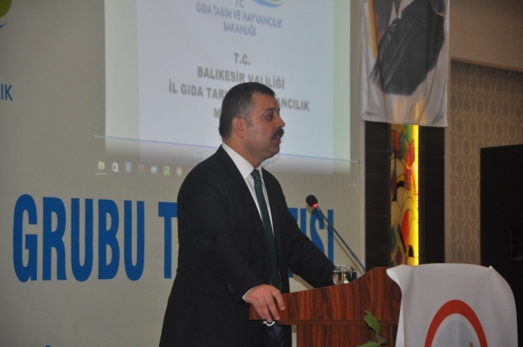 Türkiye 15 Milyon Ceviz Ağacından 200 Bin Tonu Aşkın Ceviz Elde Ediyor