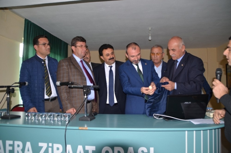 Bafra’da Tütün İndirme Kuraları Çekildi