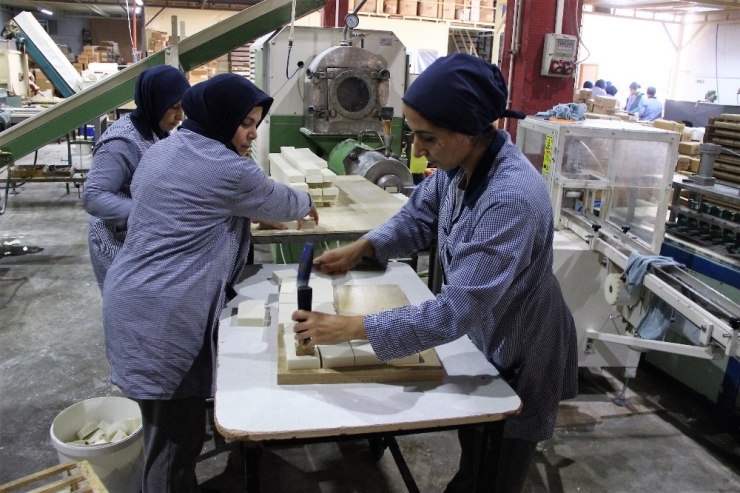 Japonlar, “Edremit” İle Yıkanıyor