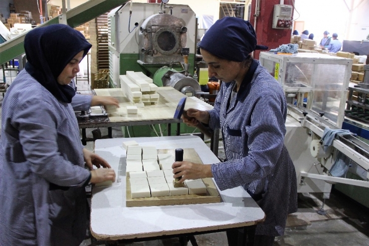 Japonlar, “Edremit” İle Yıkanıyor