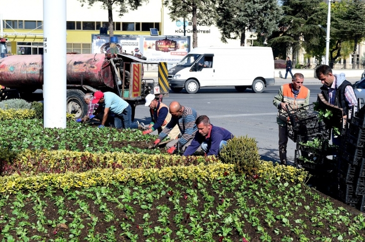 Malatya’nın Kavşakları Renkleniyor