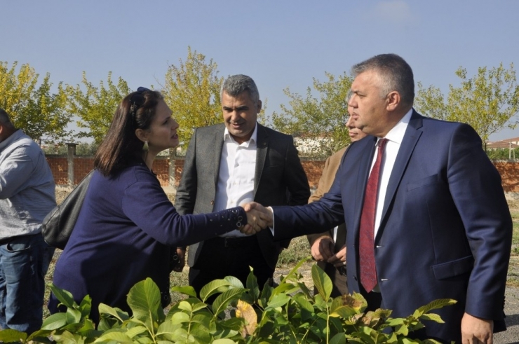 Üreticilere Zeytin Ve Badem Fidanı Desteği